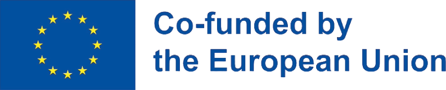 Co-funded by the European Union